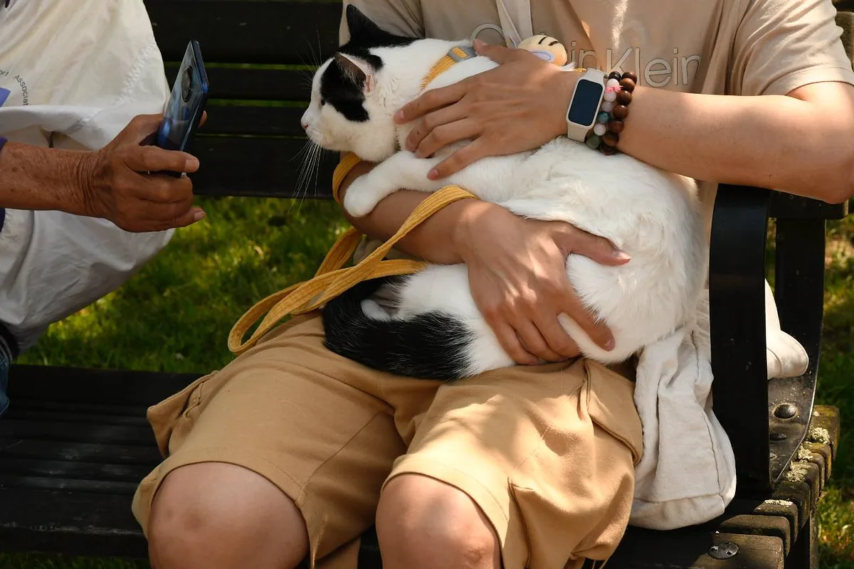 Photo 33